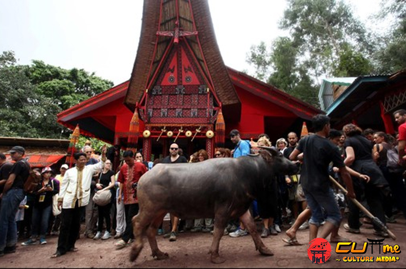 Tradisi Rambu Solo, Warisan Leluhur Toraja yang Mendunia!