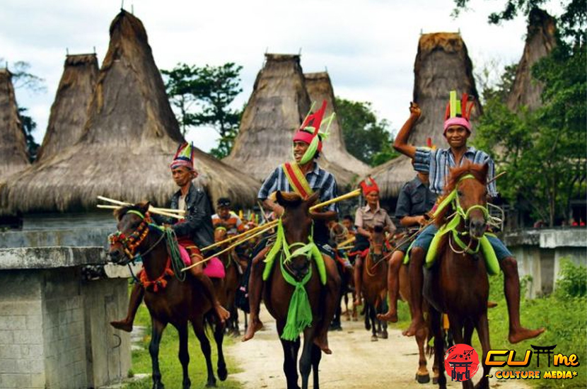 Mengupas Pesona Tradisi Pasola, Warisan Budaya Nusantara!
