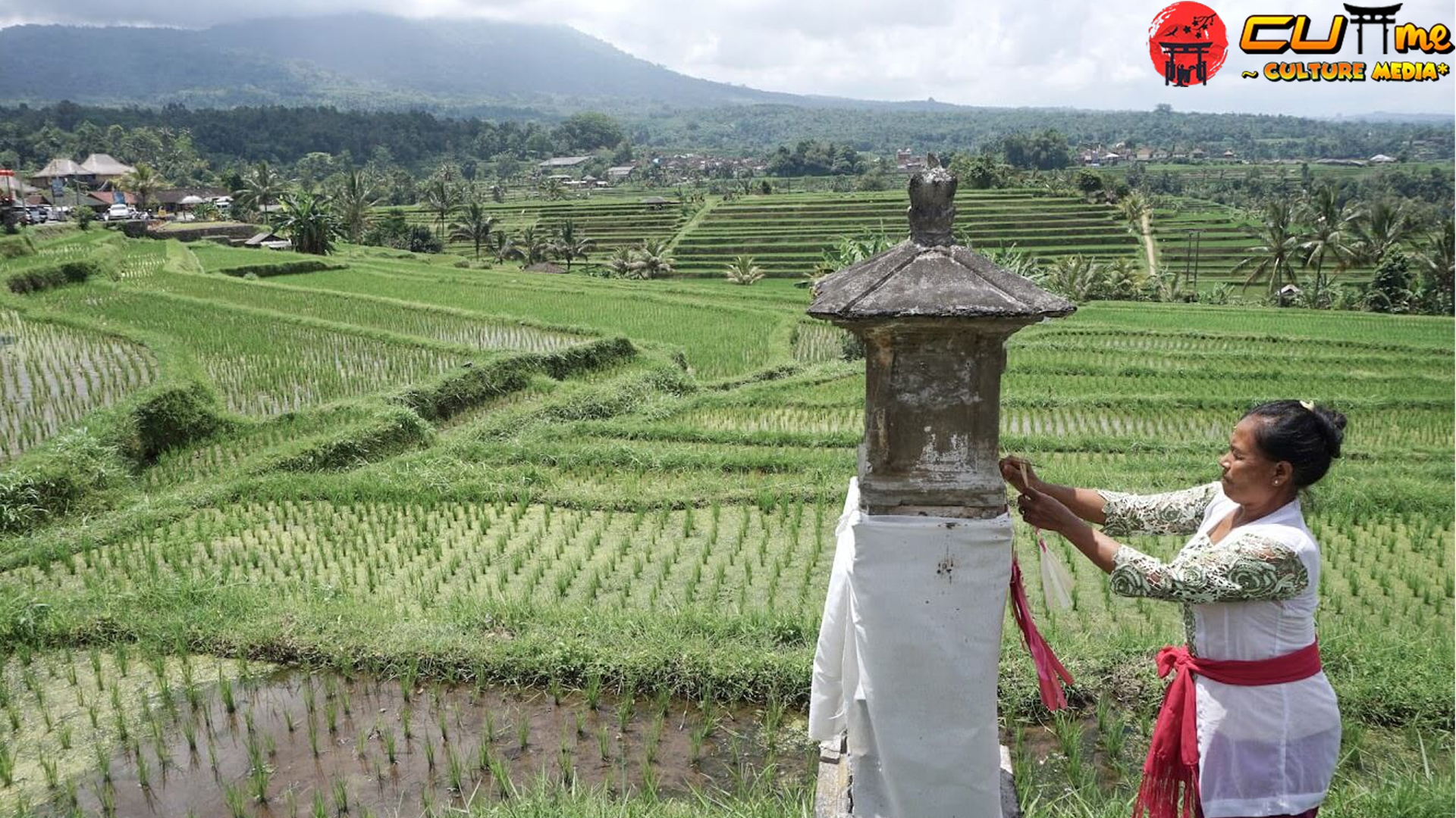Subak Bali: Harmoni Air, Sawah, dan Kearifan Leluhur!
