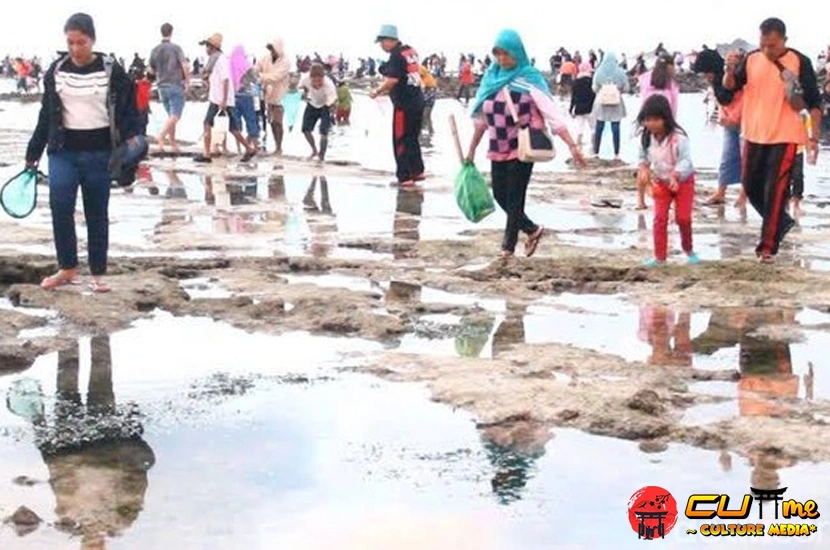 Bau Nyale 3 Tradisi Berburu Cacing Penuh