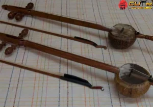 Perbedaan Tehyan, Memukau dan 3 Sukong